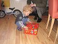 IMG_1286