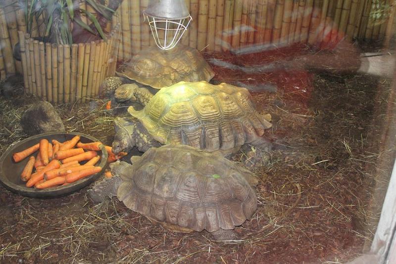 foto13